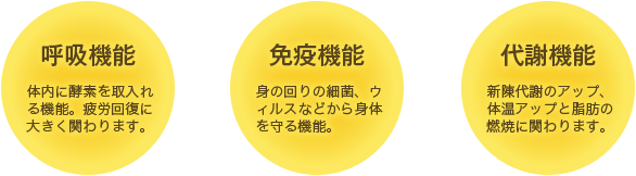 ①呼吸機能：体内に酵素を取入れる機能。疲労回復に大きく関わります。②免疫機能：身の回りの細菌、ウィルスなどから身体を守る機能。③代謝機能：新陳代謝のアップ、体温アップと脂肪の燃焼に関わります。