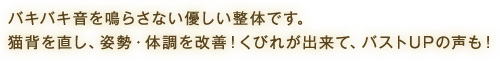 バキバキ音を鳴らさない優しい整体です。猫背を直し、姿勢・体調を改善！くびれが出来て、バストUPの声も！