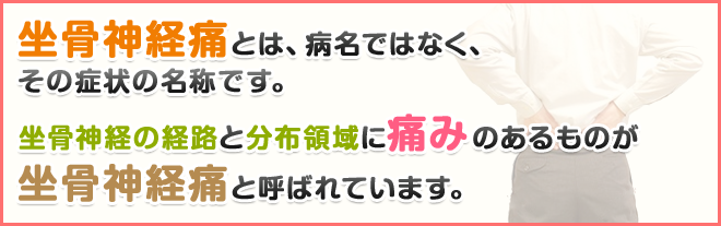 坐骨神経痛とは、病名ではなく、その症状の名称です。坐骨神経の経路と分布領域に痛みのあるものが坐骨神経痛と呼ばれています。